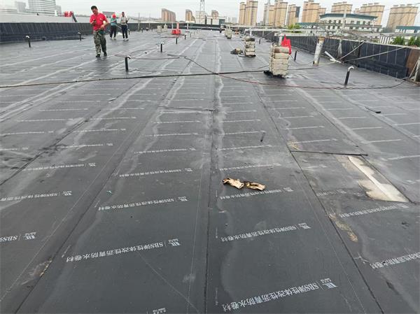 防水堵漏案例展示